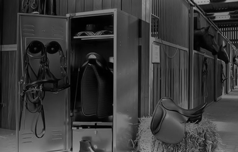 Horse Equipment