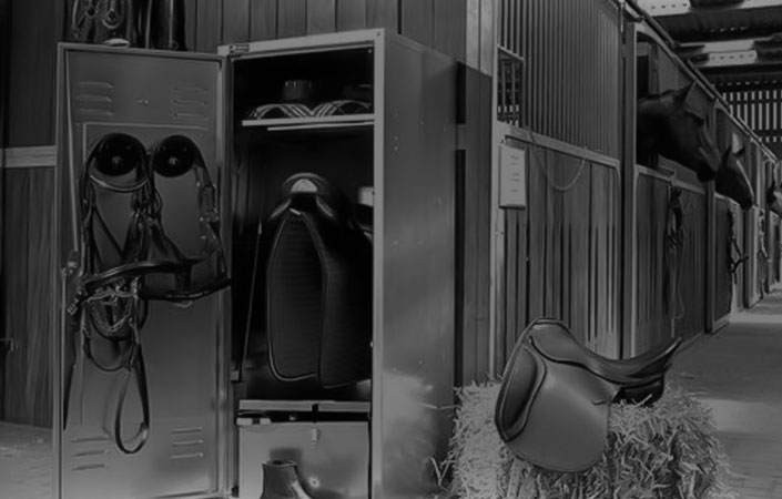 Horse Equipment