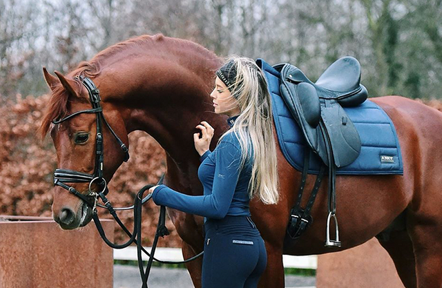 Horse-Equipment-4