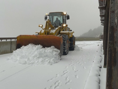 Snow Shovel 12.png