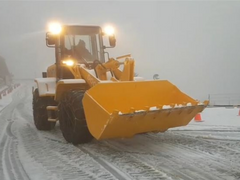 Snow Shovel 13.png